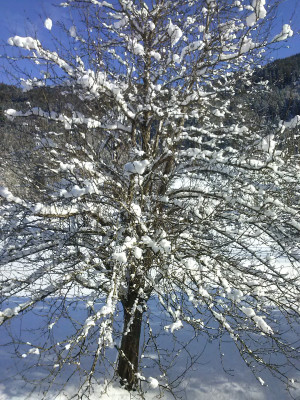 Ein schöner Wintertag