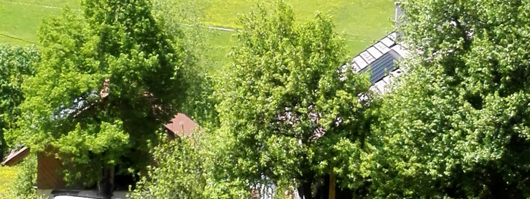 Frühlingserwachen am Pöttlerhof in Radstadt
