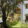 Gartenimpressionen