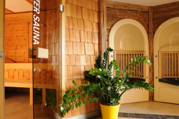 Wellness