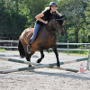 Reiten