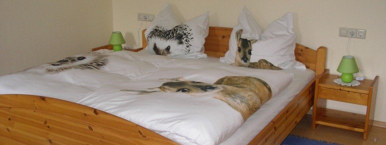 2.Schlafzimmer im OG-Durchgangsschlafzimmer