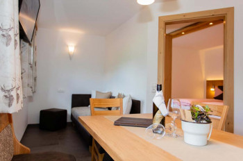 Wohnraum Appartement Hochkönig