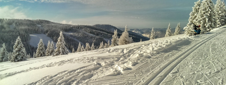 Stübenwasenspur