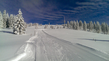Loipe zum Feldberg