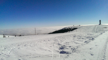 Auf den Feldberg
