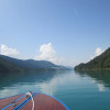 Unser Paradies im Sommer!