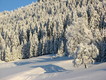 Traumhafte Winterlandschaft!