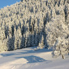 Traumhafte Winterlandschaft!