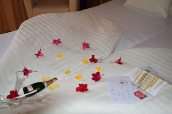 Unsere gemütlichen Doppelzimmer, Einzelzimmer und Familienappartements!