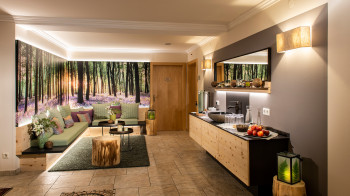 Wellness-Rezeption