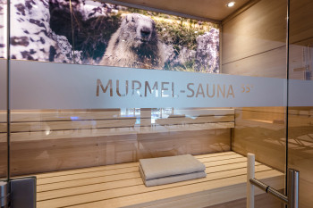 Hotel mit Sauna in Zug-Lech