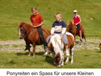 Ponyreiten ein Spass für Ihre Kleinen