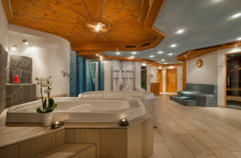Wellness