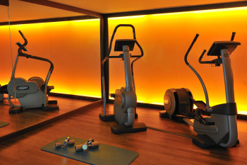 Fitness