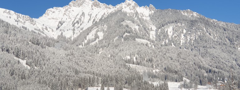 Ausblick FEWO kl. Skilift/Loipe, Bergwelt Hahnenkamm