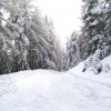 Waldwanderweg in Spinges