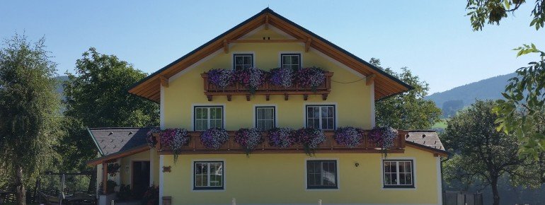 Hofbild im Sommer