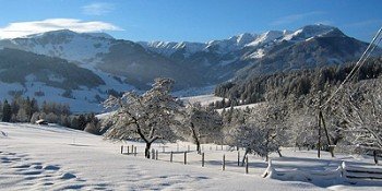 Skifahren im Winter