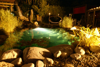 Gartenteich Sommer bei Nacht