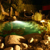 Gartenteich Sommer bei Nacht