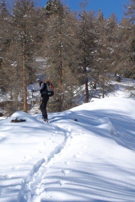 Skitour auf unsere Alm
