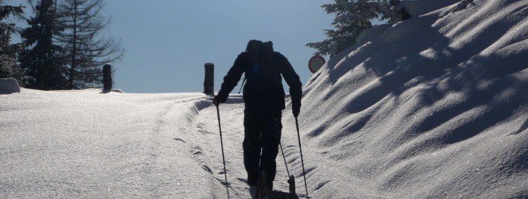 Und noch eine Skitour mit Rodel ?