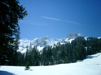 Winterpanorama