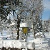 Winterfeeling