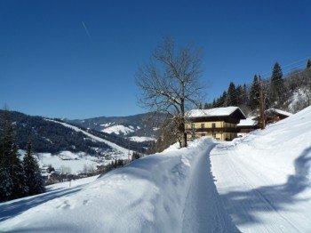 Wechselmaishof