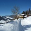 Wechselmaishof