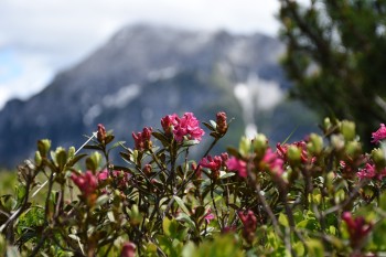 Freizeitvielfalt im Allgäu