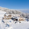 Winter im Hotel Frohsinn