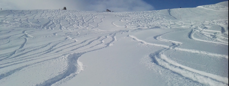 Powder-Action