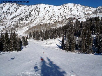 Easy terrain at the "Sunnyside"