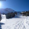 Easy terrain at the "Cecret Lift"