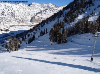 View of the intermediate terrain at the "Collins lift"
