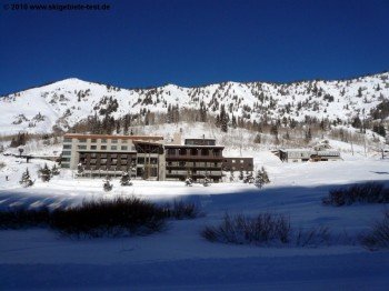 Alta
