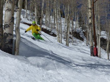 Tree-Skiing in Aspen Mountain
