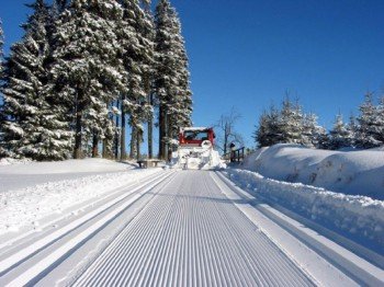 The cross-country trails are perfectly shaped