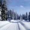 Cross-country trails around Carlsfeld