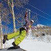 Zipline Tours