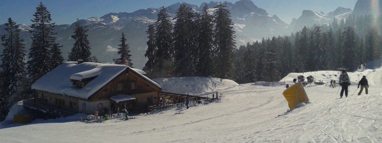Gosau Alm serves pizza and burgers.