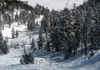 Backcountry at Mott Canyon.
