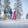 The slopes are appropriate for the entire family.