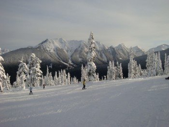 Experts can ski the backcountry as well.