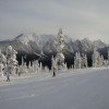 Experts can ski the backcountry as well.