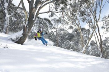 Mt Hotham offers great backcountry skiing and boarding with many of the trails being tree lined.