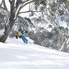 Mt Hotham offers great backcountry skiing and boarding with many of the trails being tree lined.