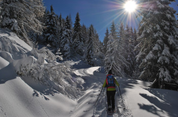 Snowshoe hiking in Nassfeld-Pressegger See
